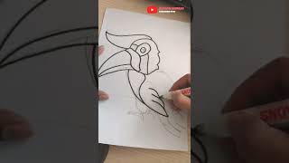 Drawing Hornbill  How to draw [upl. by Ramilahs]