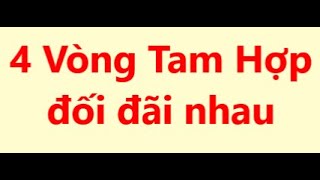 4 vòng Tam hợp đối đãi nhau  Tử vi nghiệm lý căn bản [upl. by Florri434]