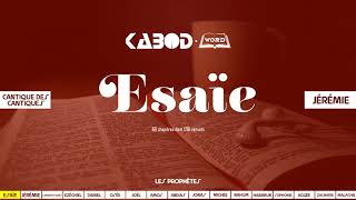 « Esaïe » LAncien Testament  La Sainte Bible audio VF Complète [upl. by Salem]