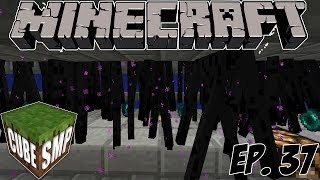 Minecraft Cube SMP Enderman Farm  Ep 37 [upl. by Eimot]