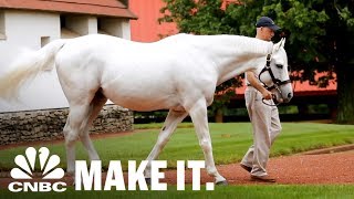 Americas Most Valuable Stallion Making Over 35 Million In Retirement  CNBC Make It [upl. by Gilbert350]