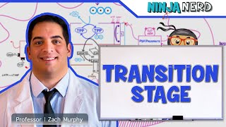 Metabolism  Transition Stage Preparatory Phase [upl. by Lam]