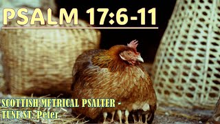 Scottish Metrical Psalter 1650 Psalm 17611  Tune St Peter  Devotional Intro amp Psalm Singing [upl. by Oetam802]