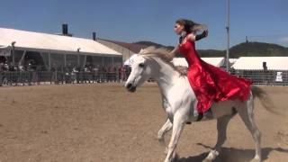 spectacle équestre monte en liberté  au collier et travail à pied [upl. by Daye624]