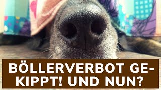 Böllerverbot gekippt  Was nun [upl. by Newbold]