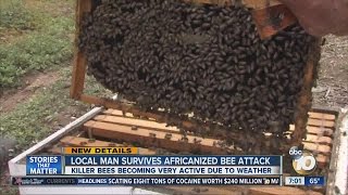 Local man survives Africanized bee attack [upl. by Susana]