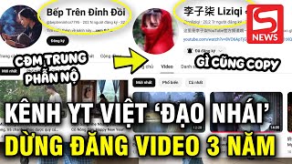 Netizen xứ Trung tố Youtuber Việt bắt chước Lý Tử Thất cả việc quotngừng đăng video trong 3 nămquot [upl. by Ames41]