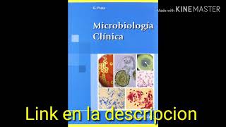 Libro de Microbiología Clínica PDF 2019 [upl. by Debbee]