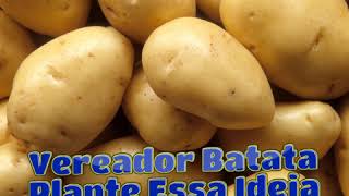 Para Vereador Batata  Plante Essa ideia [upl. by Elrahc]