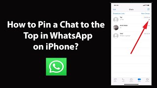 How to Pin a Chat to the Top in WhatsApp on iPhone [upl. by Atonsah537]