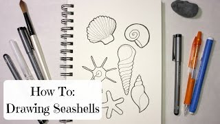 HOW TO DRAWING SEASHELLS [upl. by Crowns479]