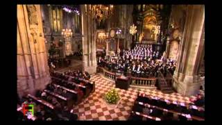 9Wiener Sängerknaben  Coronation Mass in C Major K317  Sanctus  A Mozart Celebration [upl. by Iverson96]