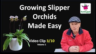 Episode 82  3 Growing Slipper Orchids Made Easy Volume 1 clip 3 [upl. by Tenenbaum]