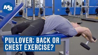 Dumbbell Pullover Chest or Back Exercise [upl. by Eliza435]