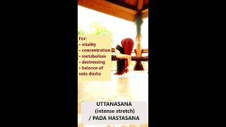 Uttanasana Intense stretch forwardfold uttanasana yoga forwardbend [upl. by Alleon]