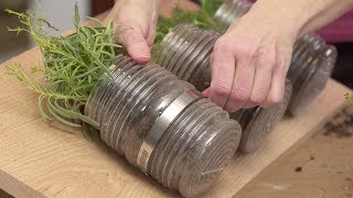 How to Plant an Indoor Hanging Herb Garden with Gina [upl. by Nylrac]