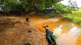 Córrego lotado de traíras gigantes Pescaria foi de arrepiar [upl. by Austin]