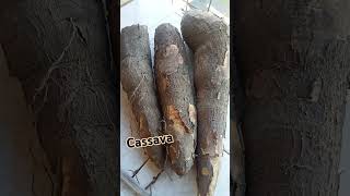 cassave  root crop Filipino food asteriaaban4791paombulphil [upl. by Newsom403]