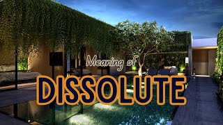 What is the meaning of Dissolute [upl. by Louis292]