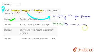 If all nitrogenase enzyme are inactivated  than there will be no  CLASS 12  NTA NEET SET 67 [upl. by Eirtemed899]