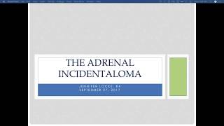 The Adrenal Incidentaloma [upl. by Ahtram944]