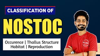 Cynophyceae  Nostoc Algae in Hindi  Classification of Nostoc Habitat Thallus Structure 01 [upl. by Azarcon]