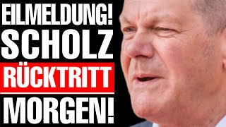 💥EILMELDUNG ALTPARTEIEN ZERSTÖREN SCHOLZ  AfD EXPLODIERT MASSIV💥 [upl. by Melak372]