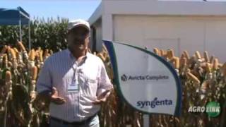 Avicta Completo Syngenta [upl. by Heilman842]