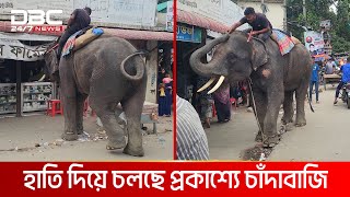 সাংবাদিক দেখে হাতি নিয়ে সটকে পড়ল মাহুত  DBC NEWS [upl. by Sally]