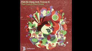 Fish Go Deep  The cure and the cause Dennis Ferrer remix [upl. by Blackstock958]