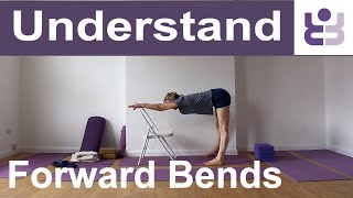 Beginners Iyengar Yoga Class  Understanding Forward Bends [upl. by Yeargain]