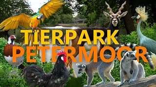 Tierpark Petermoor in Bassum  ZooEindruck [upl. by Hembree377]