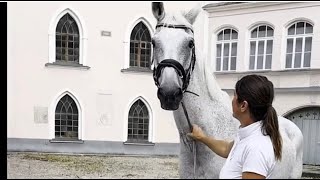 → Rückblicke Uraufführung Das weiße Rössl von Lauffen salzkammergut2024 [upl. by Tiemroth214]