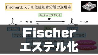 97 Fischerエステル化（反応 50） [upl. by Gaivn845]