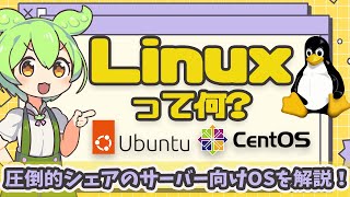 Linuxってなに？圧倒的シェアを誇るサーバー向けOSを解説！  VOICEVOX解説 [upl. by Narine792]