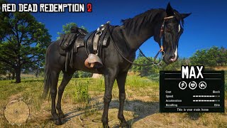 The Most Underrated Horse in Red Dead Redemption 2  Black Arabian  RDR2  PS4 Slim [upl. by Nuhsar]