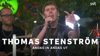 Thomas Stenström  Andas in andas ut  Allsång på Skansen 2023  SVT [upl. by Koy]