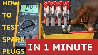 How To Test a Spark Plug in 1 Minute [upl. by Eentruoc176]