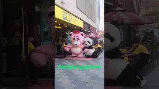 cute panda video panda shorts [upl. by Jeavons730]