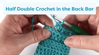 Half Double Crochet in the Back Bar Tutorial [upl. by Reed]