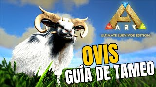 Como tamear Ovis en Ark Survival Guía de tameo de Ark Ultimate Survivor Edition [upl. by Pip]