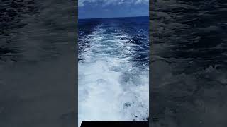 Maldives Speedboat Challenge Conquering Huge Ocean Waves travelmaldives bestbeachdestinations [upl. by Milinda]