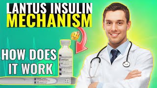 Lantus Insulin Mechanism of Action How Does It Work [upl. by Ztnaj377]