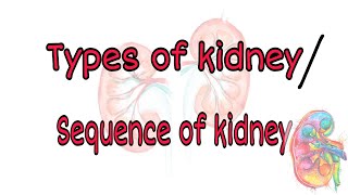 Types of kidney  sequence of kidney during embryonic development [upl. by Ballard]