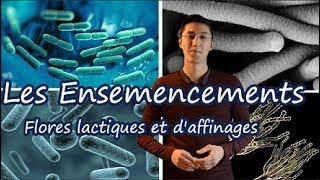 Des bactéries dans notre Lait  Ferments lactiques et daffinages [upl. by Childers]