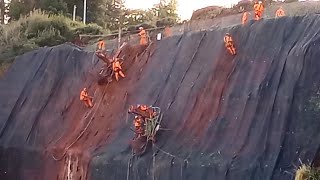 Dawlish cliff stabilization abseiling to protect the railway [upl. by Lemuela]