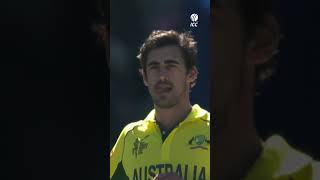 Mitchell Starc breathing fire 🥵🔥 Cricket CricketShorts YTShorts [upl. by Polito]