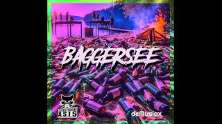 deMusiax x Guterzogene Asis  Baggersee Lyrics Video [upl. by Rese]