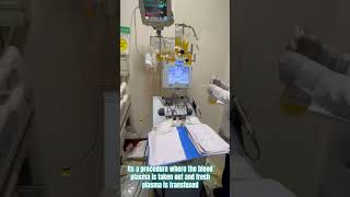 PLASMAPHERESIS music viralvideo [upl. by Iahcedrom966]