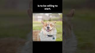 corgi motivation day 57 hopecore happycore corgi pets motivational doggy dog motivation [upl. by Malvino]